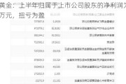 西部黄金：上半年归属于上市公司股东的净利润为6620.93万元，扭亏为盈