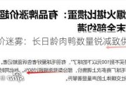 羽毛球涨价迷雾：长日龄肉鸭数量锐减致供不应“球”