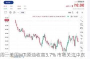 周一美国WTI原油收高3.7% 市场关注中东局势发展