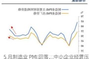 5 月制造业 PMI 回落，中小企业经营压力仍存