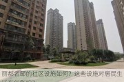 丽都名邸的社区设施如何？这些设施对居民生活有何影响？