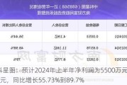 中科星图：预计2024年上半年净利润为5500万元到6700万元，同比增长55.73%到89.7%