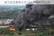 波兰发生森林火灾 过火面积约20公顷