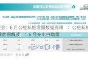 乘联会：6 月公桩私桩增量数据亮眼    ：公桩私桩增长  关键数据解读    ：6 月充电桩增量