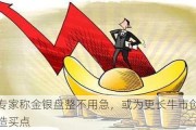 专家称金银盘整不用急，或为更长牛市创造买点