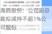 海鸥股份：公司副总裁拟减持不超1%公司股份