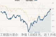 工银圆兴混合：净值 1.0303 元，近 1 月收益率-4.87%