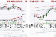 长安期货刘琳：悲观情绪释放，玉米或低位偏强