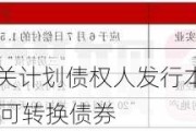 宝龙地产将向相关计划债权人发行本金总额最多约5.58亿美元的强制可转换债券