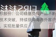 杉杉股份：公司硅基负极产品不断实现技术突破，持续获得海内外客户认可，实现批量供应