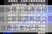 赣锋锂业等青海投资成立新能源科技公司 注册资本1亿元