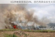 ICE原糖期货涨近4%，因巴西蔗田发生火灾