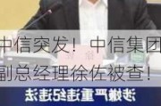 中信突发！中信集团副总经理徐佐被查！