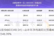 文灿股份(603348.SH)：上半年净利润同比预增403.21%到546.99%