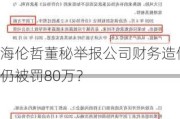 海伦哲董秘举报公司财务造假仍被罚80万？