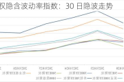 金融期权隐含波动率指数：30 日隐波走势