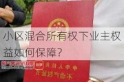 小区混合所有权下业主权益如何保障？