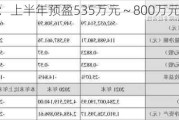 兴民智通：上半年预盈535万元～800万元 同比扭亏