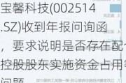 宝馨科技(002514.SZ)收到年报问询函，要求说明是否存在配合控股股东实施资金占用等问题