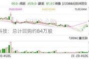 药石科技：总计回购约84万股