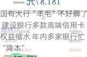 国有大行“羊毛”不好薅了 建设银行多款高端信用卡权益缩水 年内多家银行忙“降本”