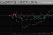 世纪铝业盘中异动 大幅拉升5.00%