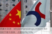 ***水***：WholekingHoldingsLimited认购9000万港元债券，占股本约6.55%