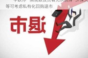 “一字跌停”频现致投资者无从脱身 *ST深天等可考虑私有化回购退市