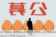 地产"富贵"蔓延至REITs，发行端却"冰火两重天"