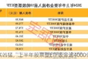 抄底凶猛，上半年股票型ETF吸金逾4000亿元