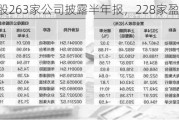 A股263家公司披露半年报，228家盈利