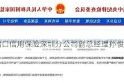 中国出口信用保险深圳分公司副总经理孙俊竹被查