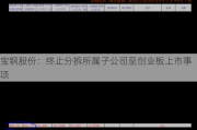 宝钢股份：终止分拆所属子公司至创业板上市事项