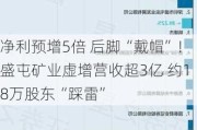 净利预增5倍 后脚“戴帽”！盛屯矿业虚增营收超3亿 约18万股东“踩雷”