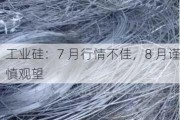 工业硅：7 月行情不佳，8 月谨慎观望