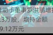 蜂助手董事罗洪鹏增持2.3万股，增持金额39.12万元