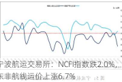 宁波航运***：NCFI指数跌2.0%，东非航线运价上涨6.7%