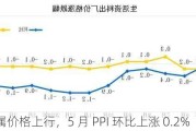 有色金属价格上行，5 月 PPI 环比上涨 0.2%