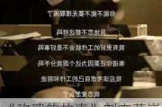 《玫瑰的故事》刘亦菲崩溃砸家！警惕这些关系中的被动攻击 最伤人