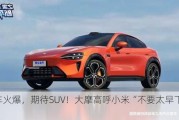 电车火爆，期待SUV！大摩高呼小米“不要太早下车”！