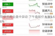 坎伯兰药业盘中异动 下午盘股价大涨5.66%