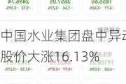 中国水业集团盘中异动 股价大涨16.13%