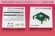 树莓派携手Hailo为其新品注入人工智能功能