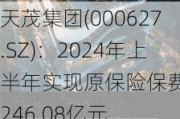 天茂集团(000627.SZ)：2024年上半年实现原保险保费收入246.08亿元