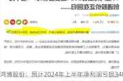 鸿博股份：预计2024年上半年净利润亏损3480万元~4350万元