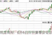 凯龙高科：6月6日召开董事会会议