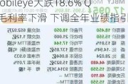 Mobileye大跌18.6% Q2毛利率下滑 下调全年业绩指引