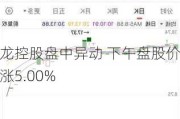 环龙控股盘中异动 下午盘股价大涨5.00%