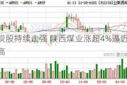 煤炭股持续走强 陕西煤业涨超4%逼近历史新高