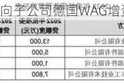 凌云股份：拟向子公司德国WAG增资5500万欧元